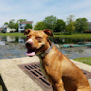 Meet your Posher, Jonathan